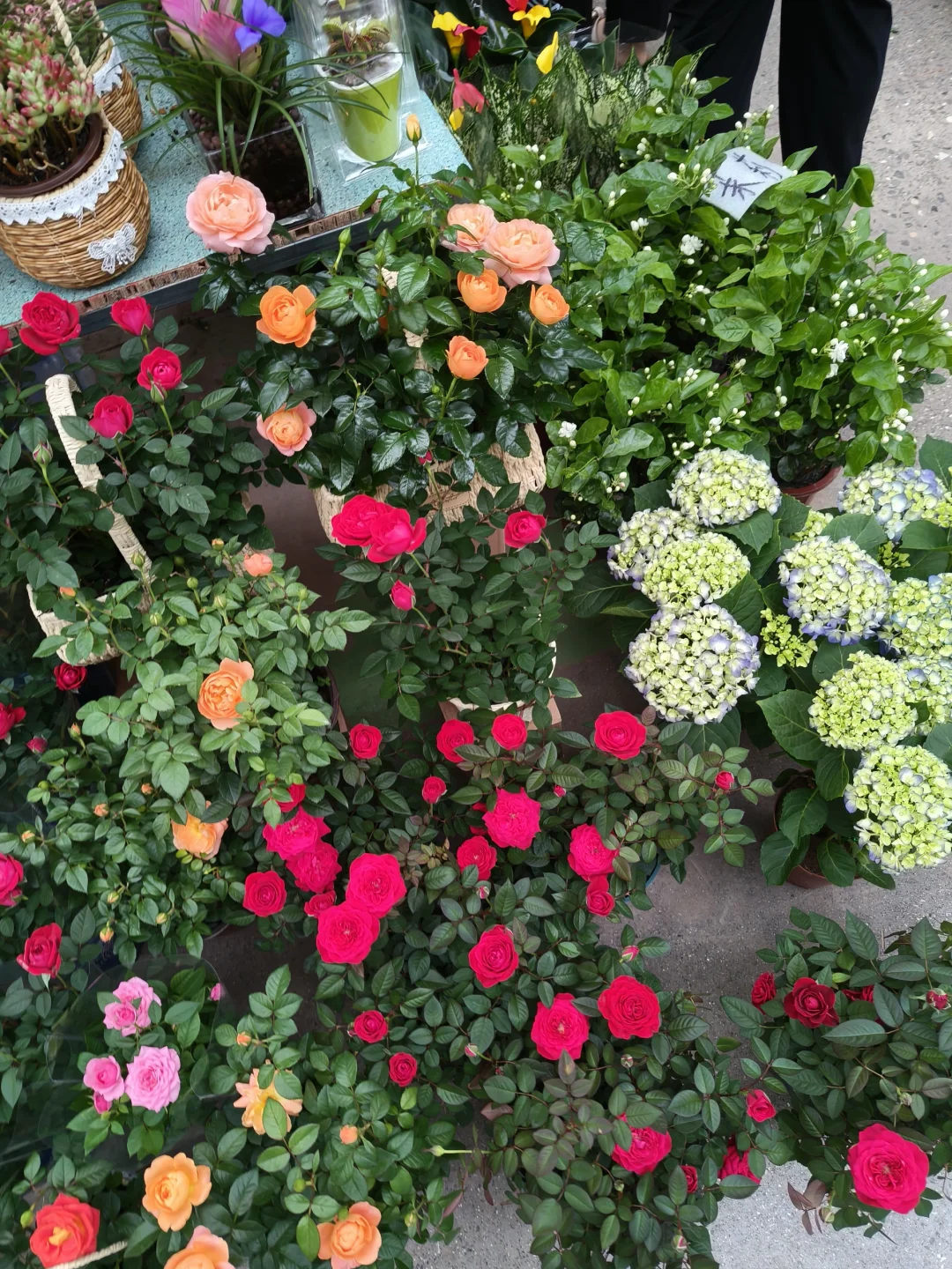 周末就去叁五壹壹吧！