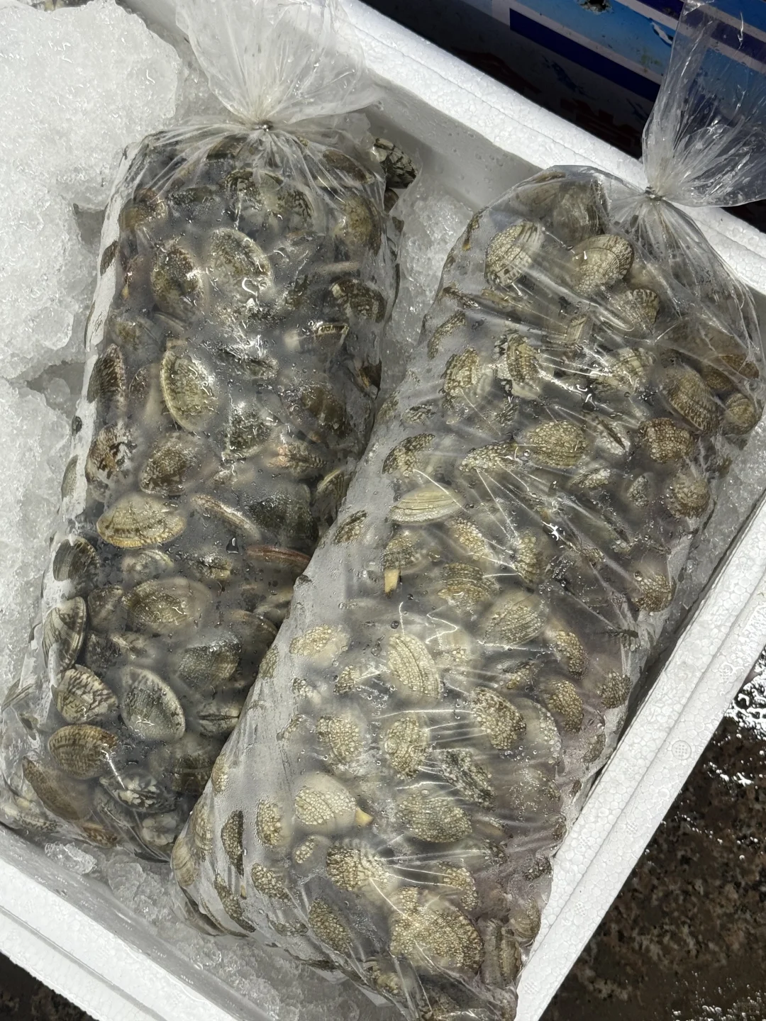 连云港市区张二精品海鲜11月30日海鲜报价表