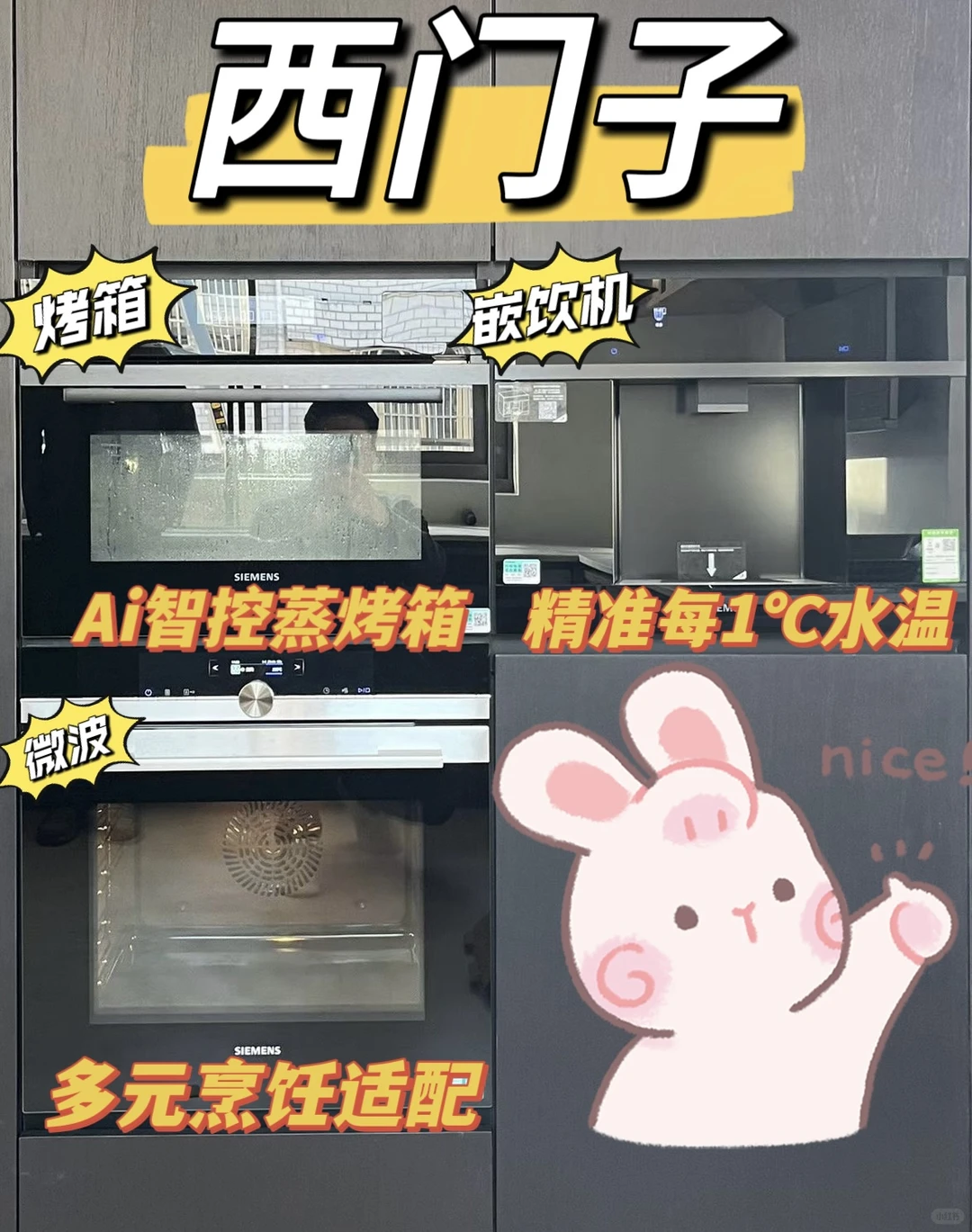 为什么会选择西门子?