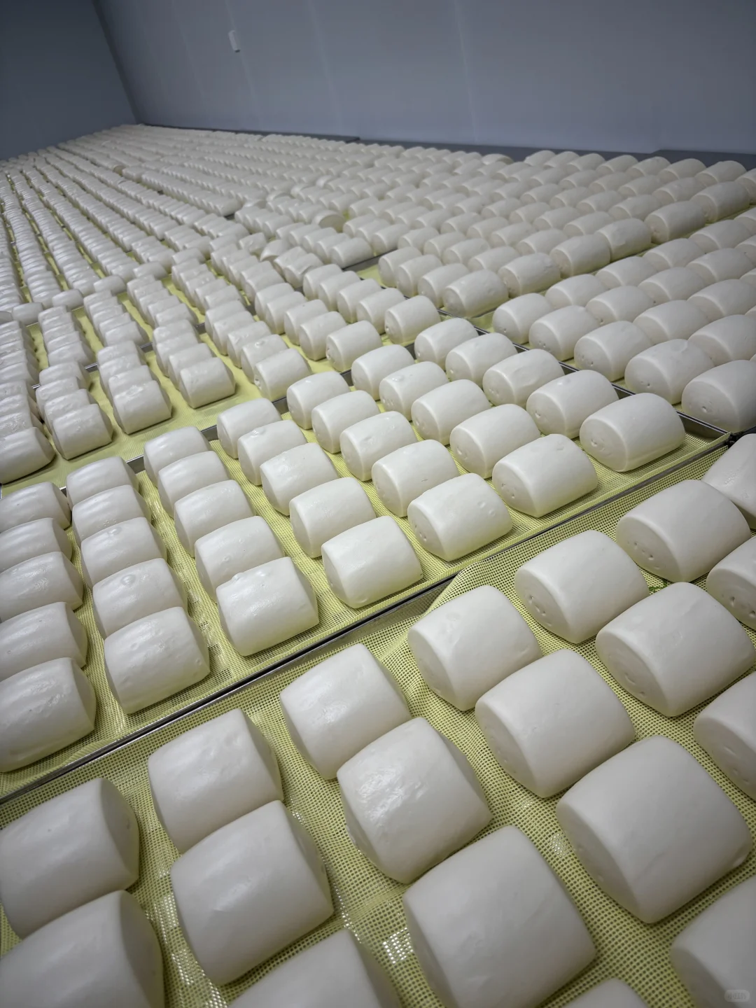 在淄博开了一家馒头工厂