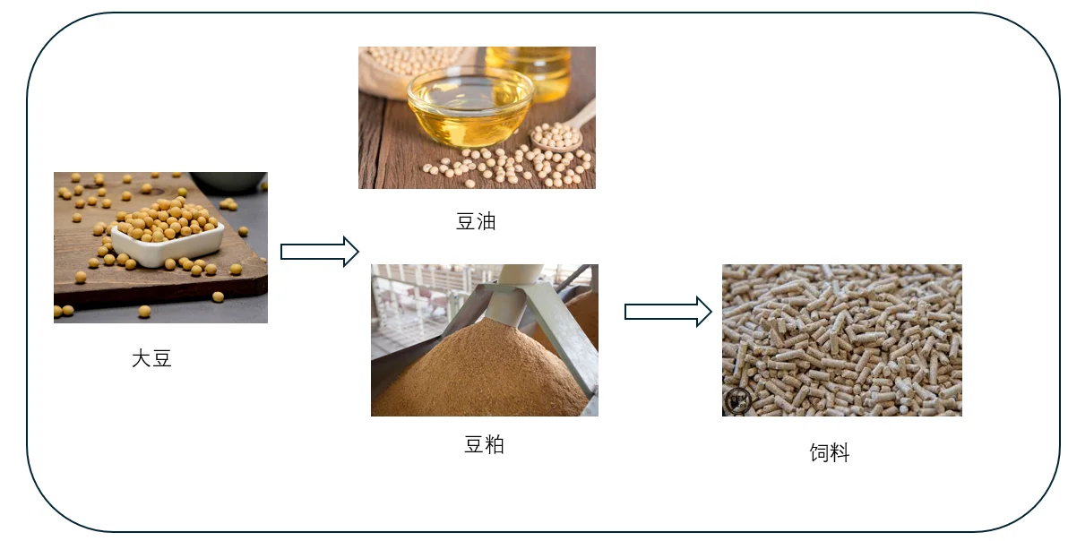 大豆的全球产业与贸易｜大豆行业的生产链