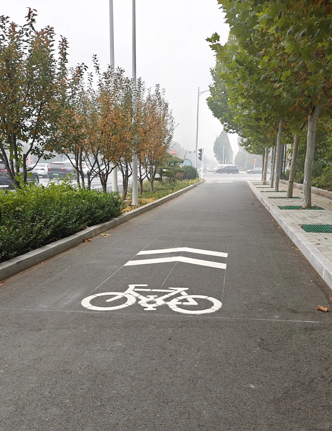 你们那里的绿色低碳出行道路是否一路畅通?