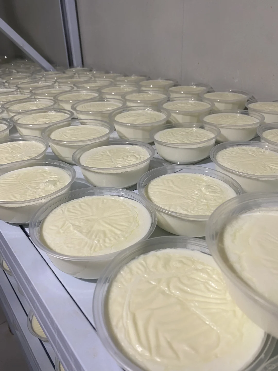 无经验无存款❗️裸辞回农村开厂子，太明智了