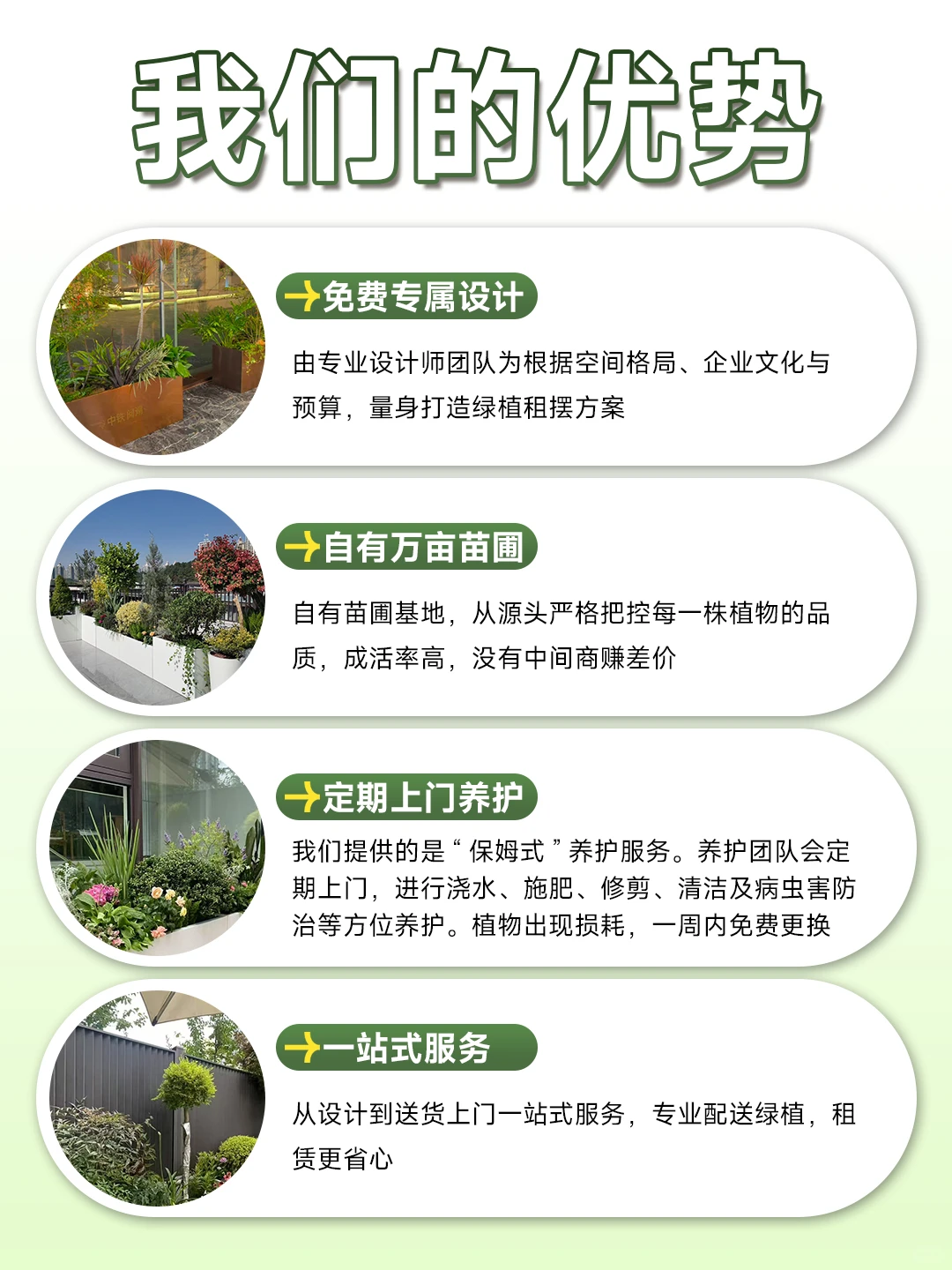 西安绿植租赁丨公司绿植布置太难搞？看这里