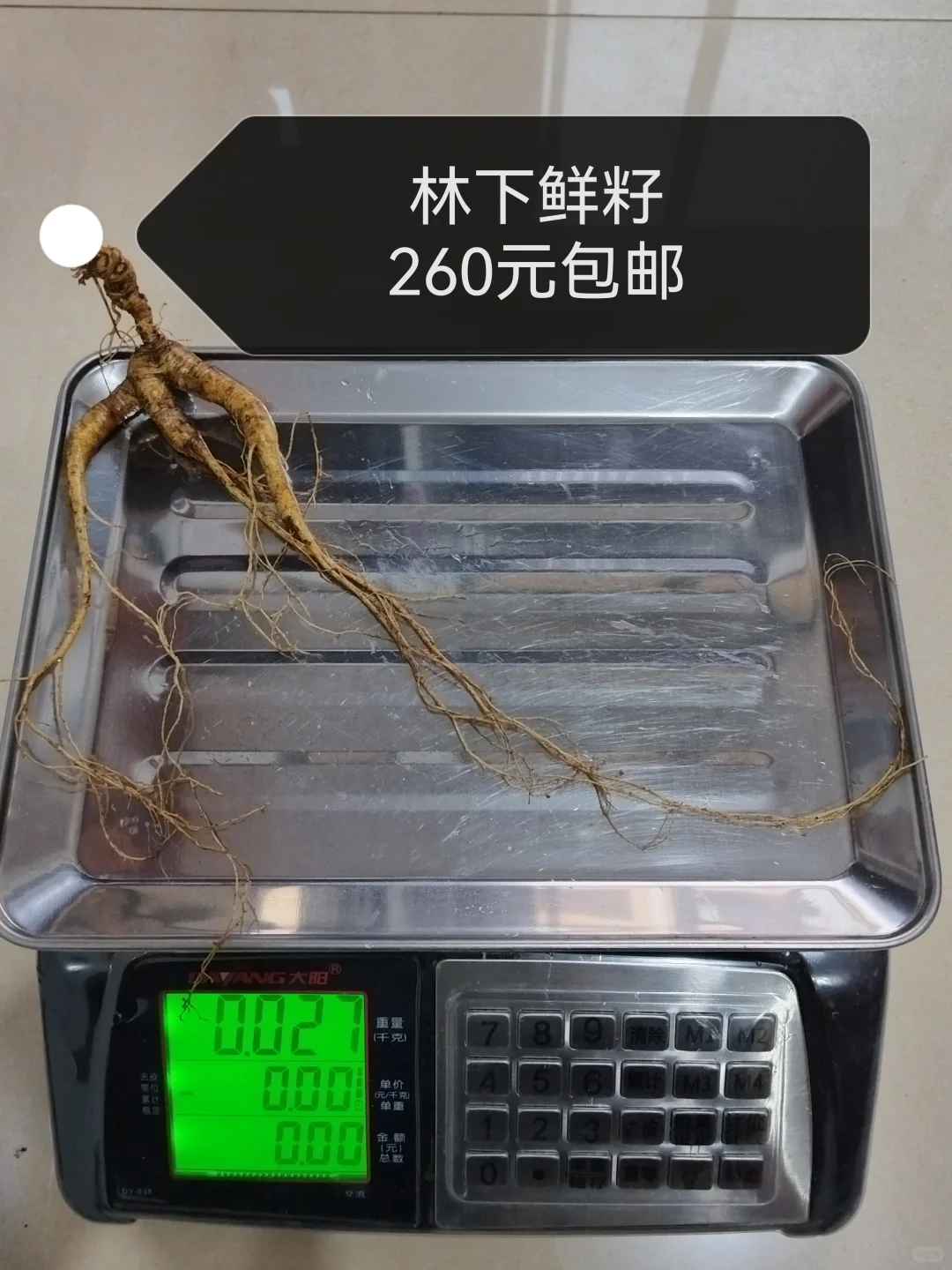 自然林下籽嘎嘎纯