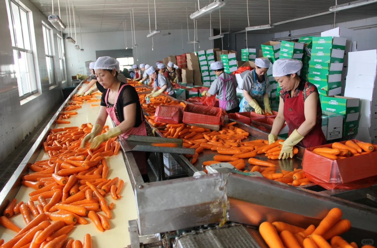 食材定制加工，为餐饮企业解决食材加工问题