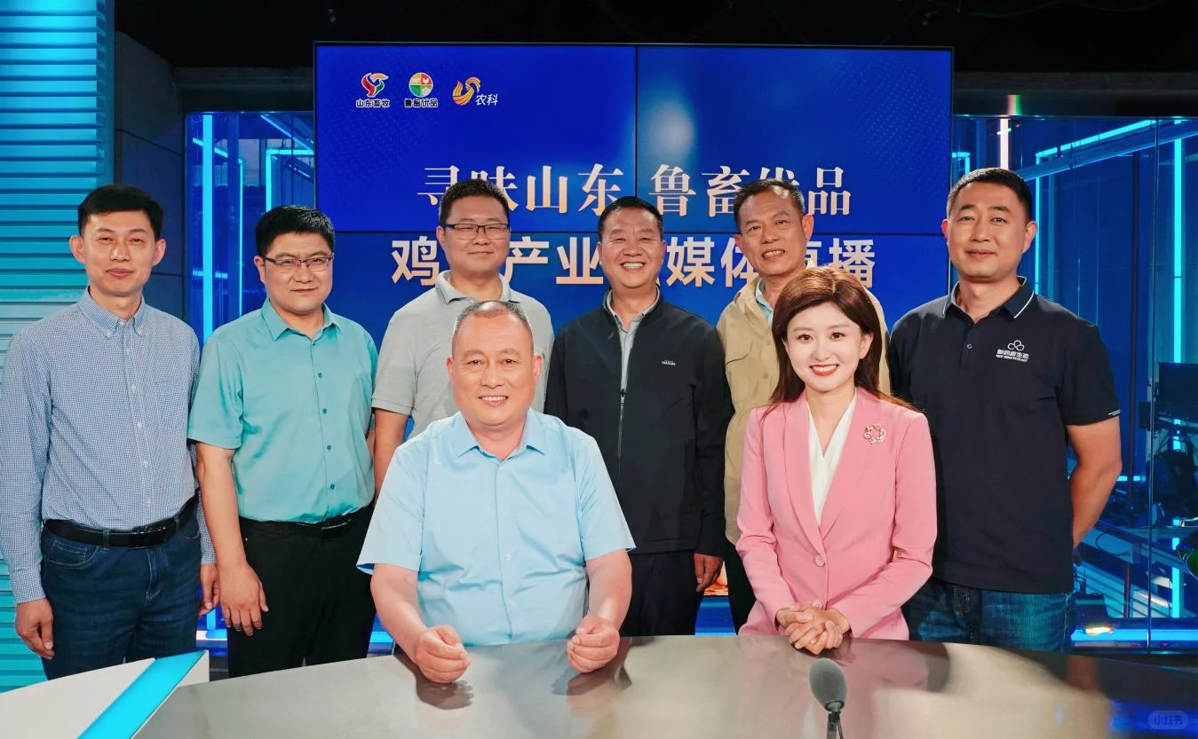 鲁畜优品探秘山东鸡蛋产业的高质量发展之路