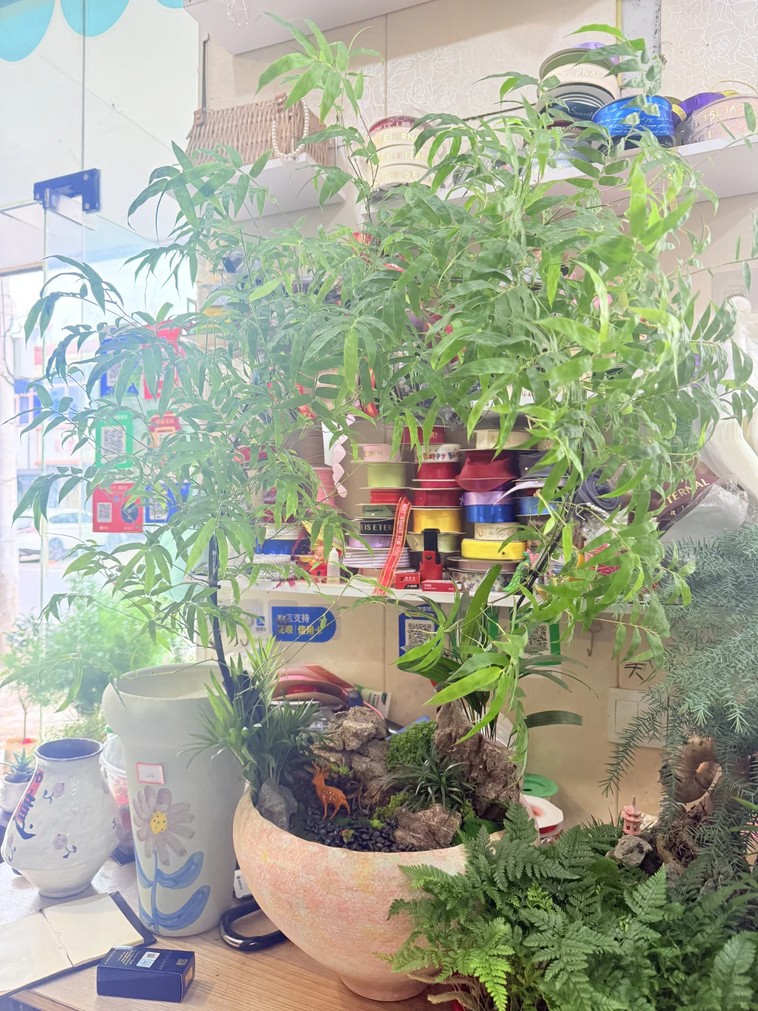 这花太漂亮了！太好拍了！