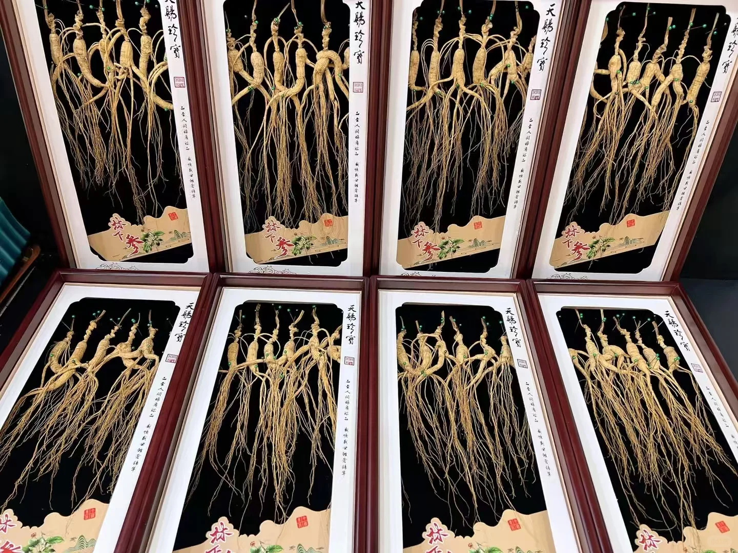 【林下野籽货】1