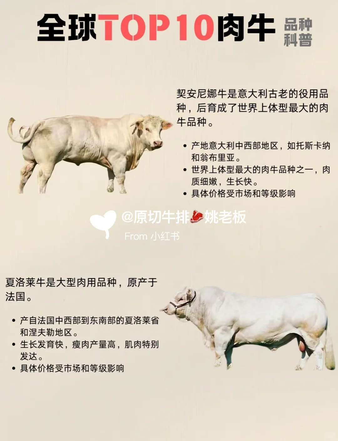 科普全球牛肉品种大合集！