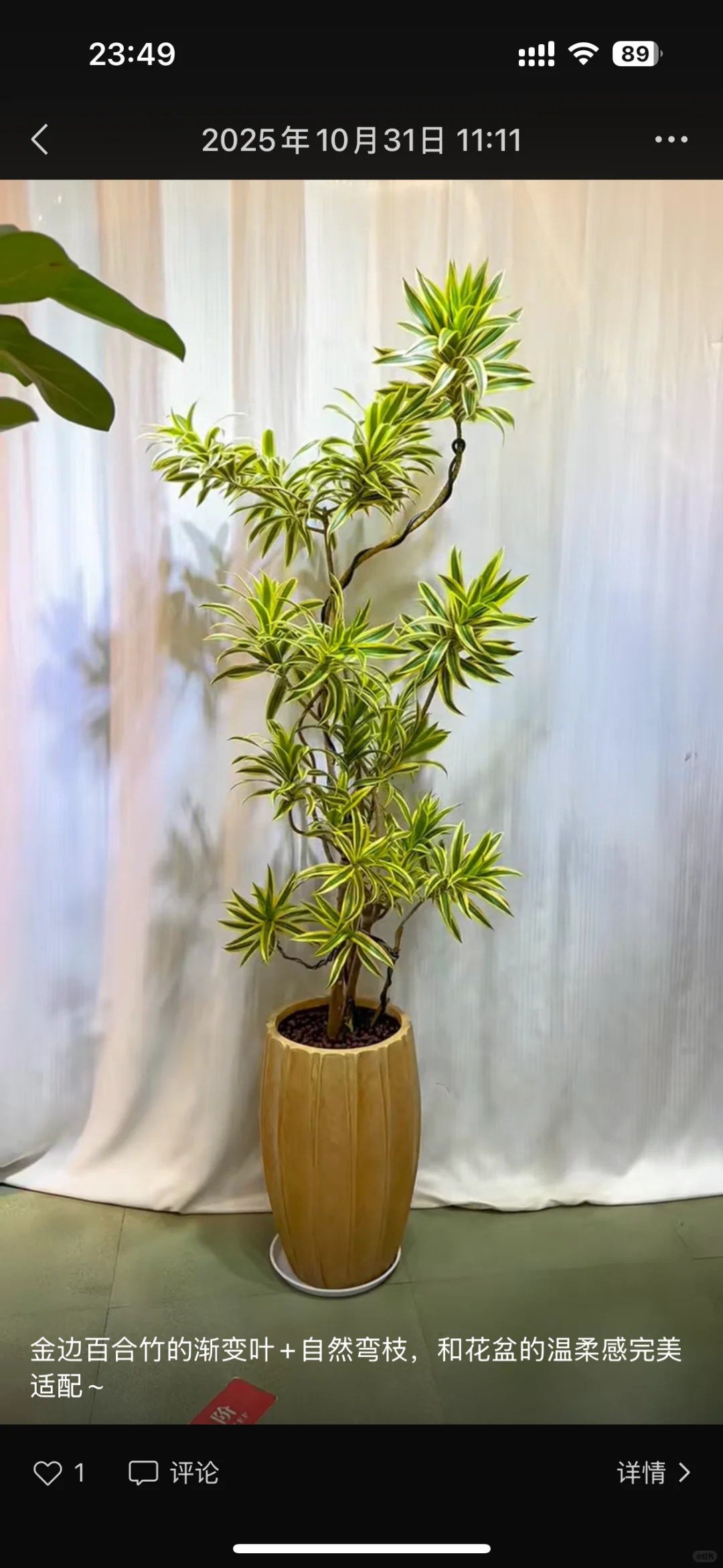 深圳绿植租赁批发，可上门设计出方案。