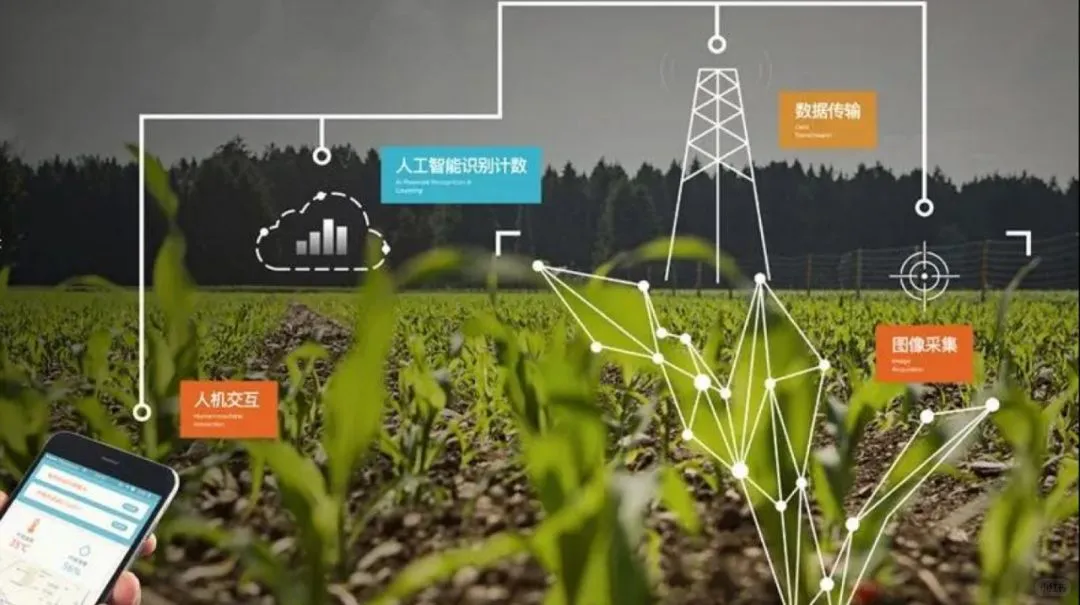 当AI应用于农业，当农民也可以很幸福