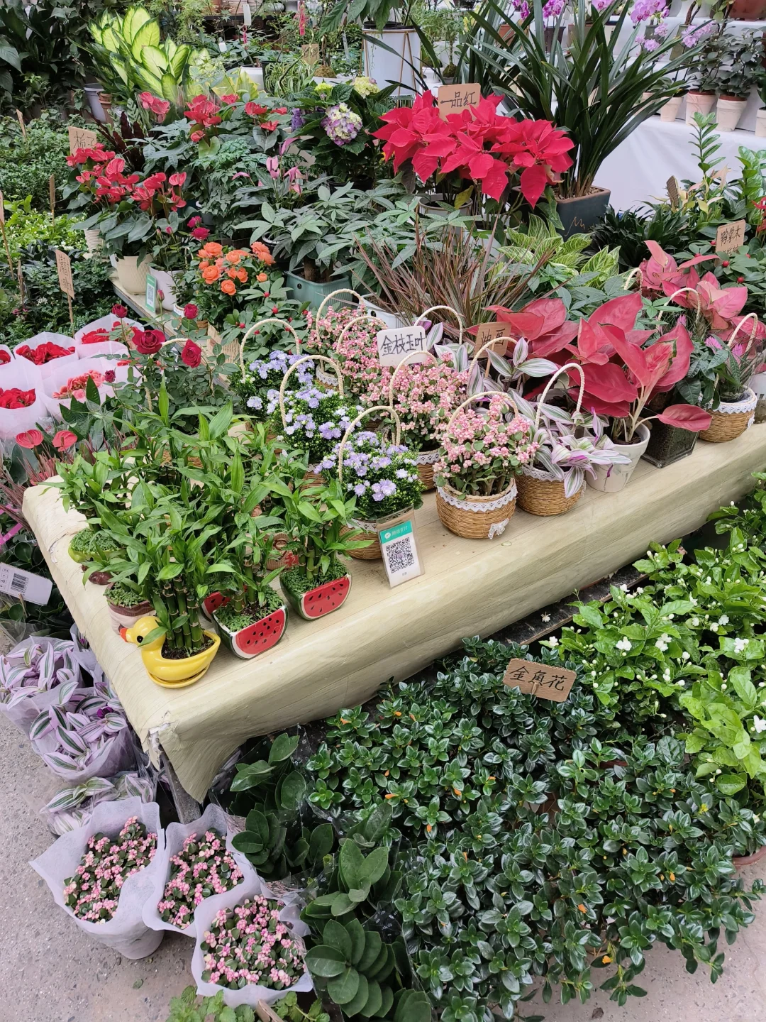 周末就去叁五壹壹吧！