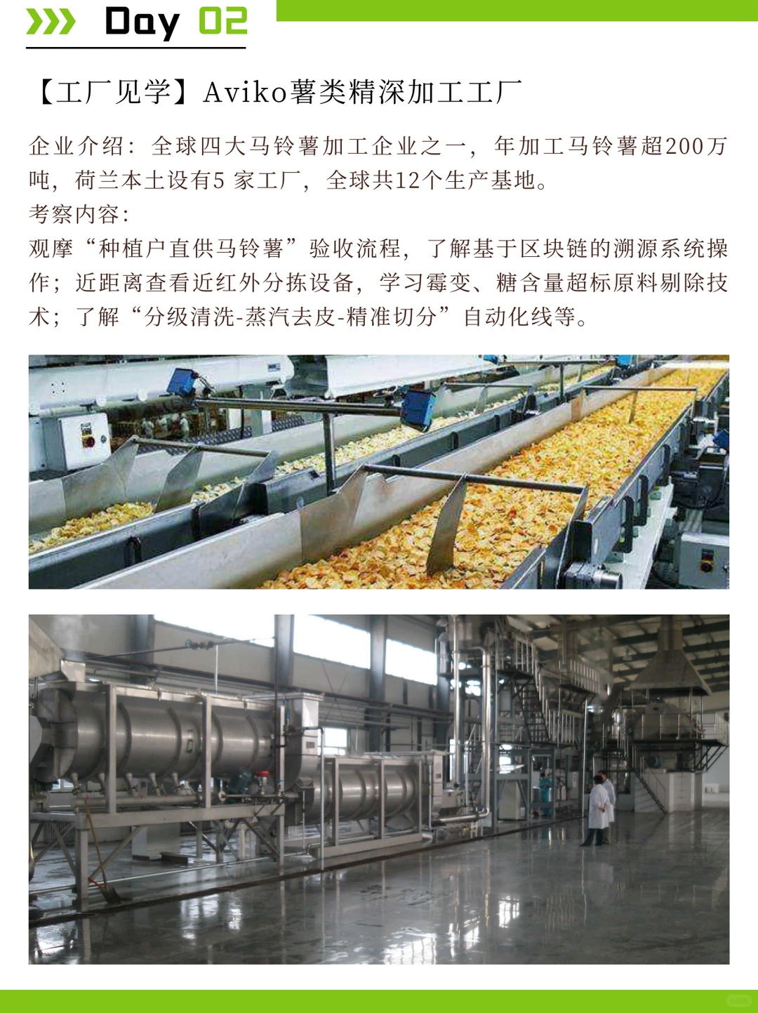 荷兰食品考察：探索植物基与科技加工趋势