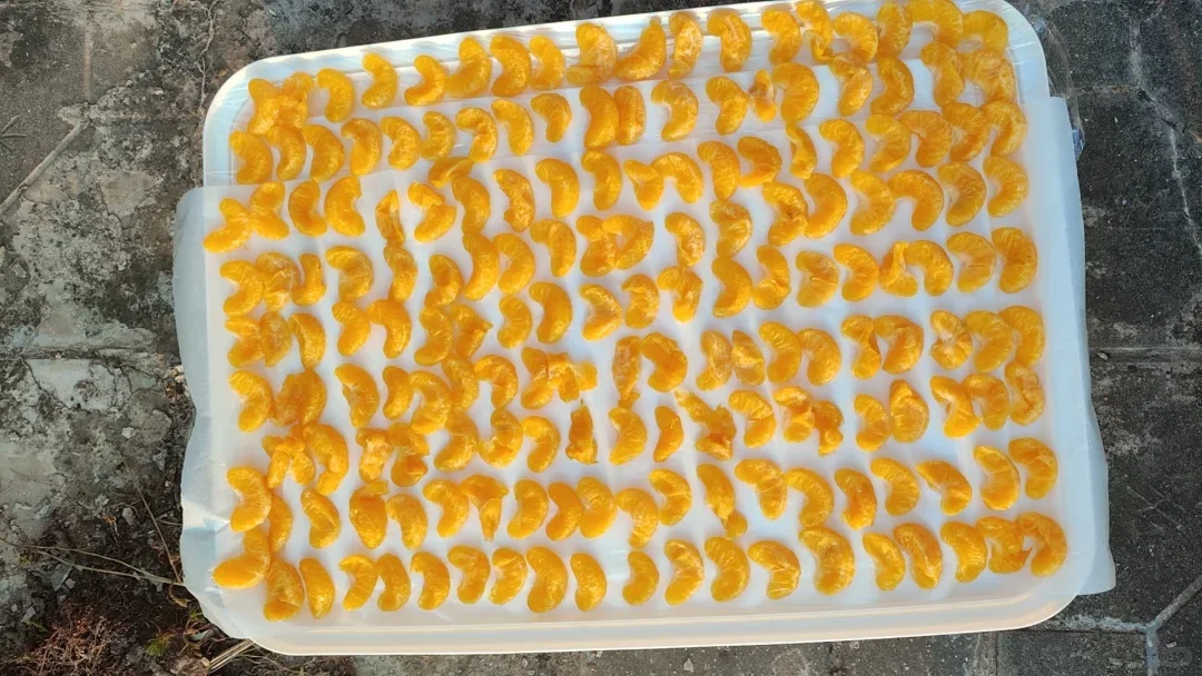 川橘二红皮制作买家秀～