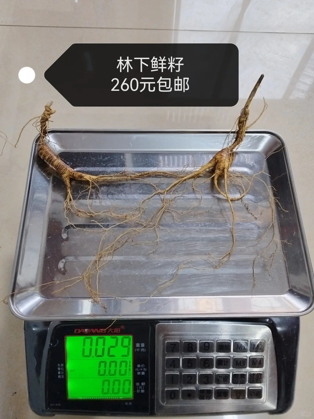 自然林下籽嘎嘎纯