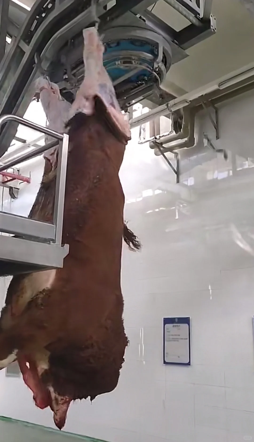 屠宰产业与助农发展之间的关系.