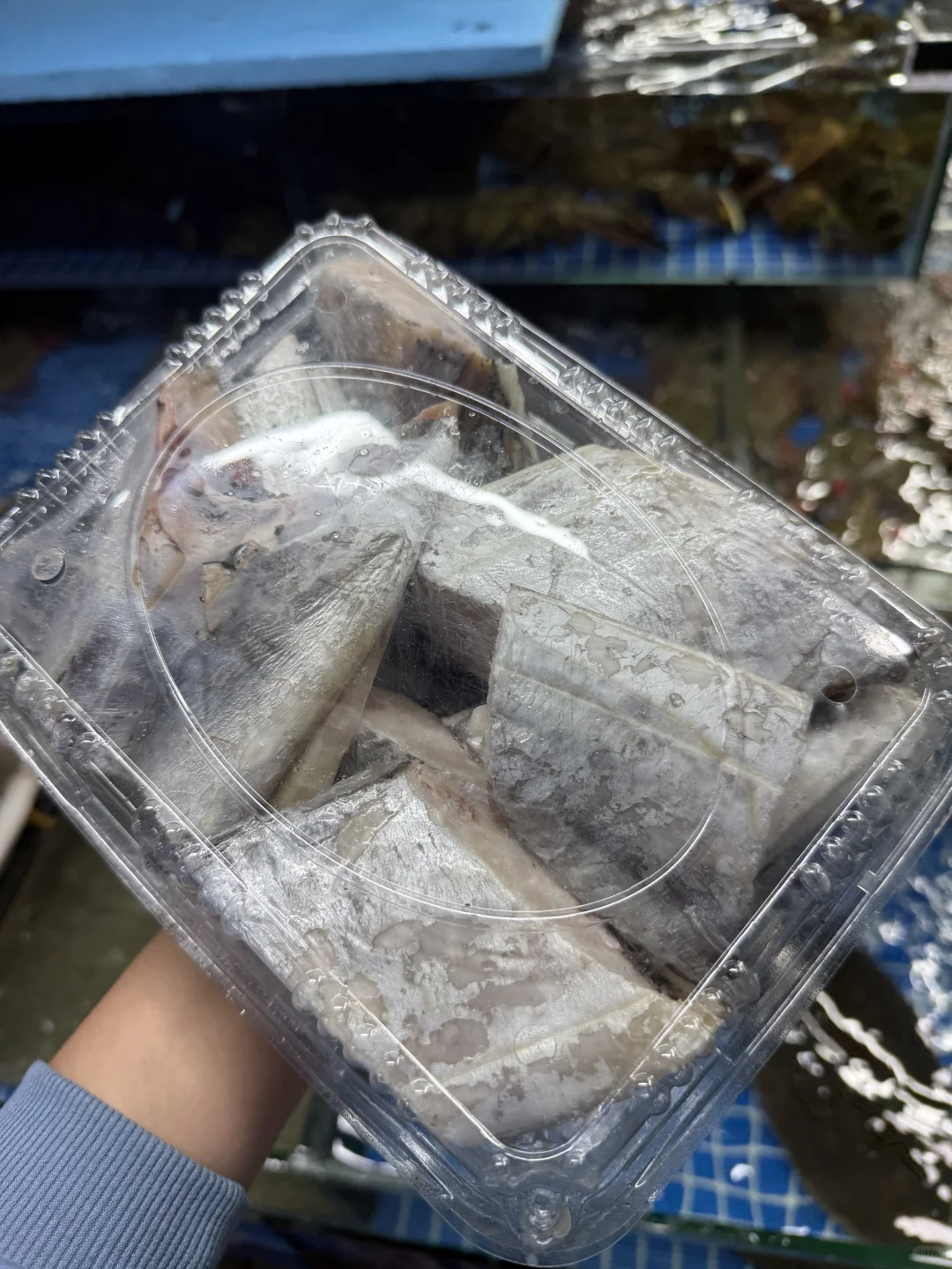 连云港市区张二精品海鲜11月30日海鲜报价表