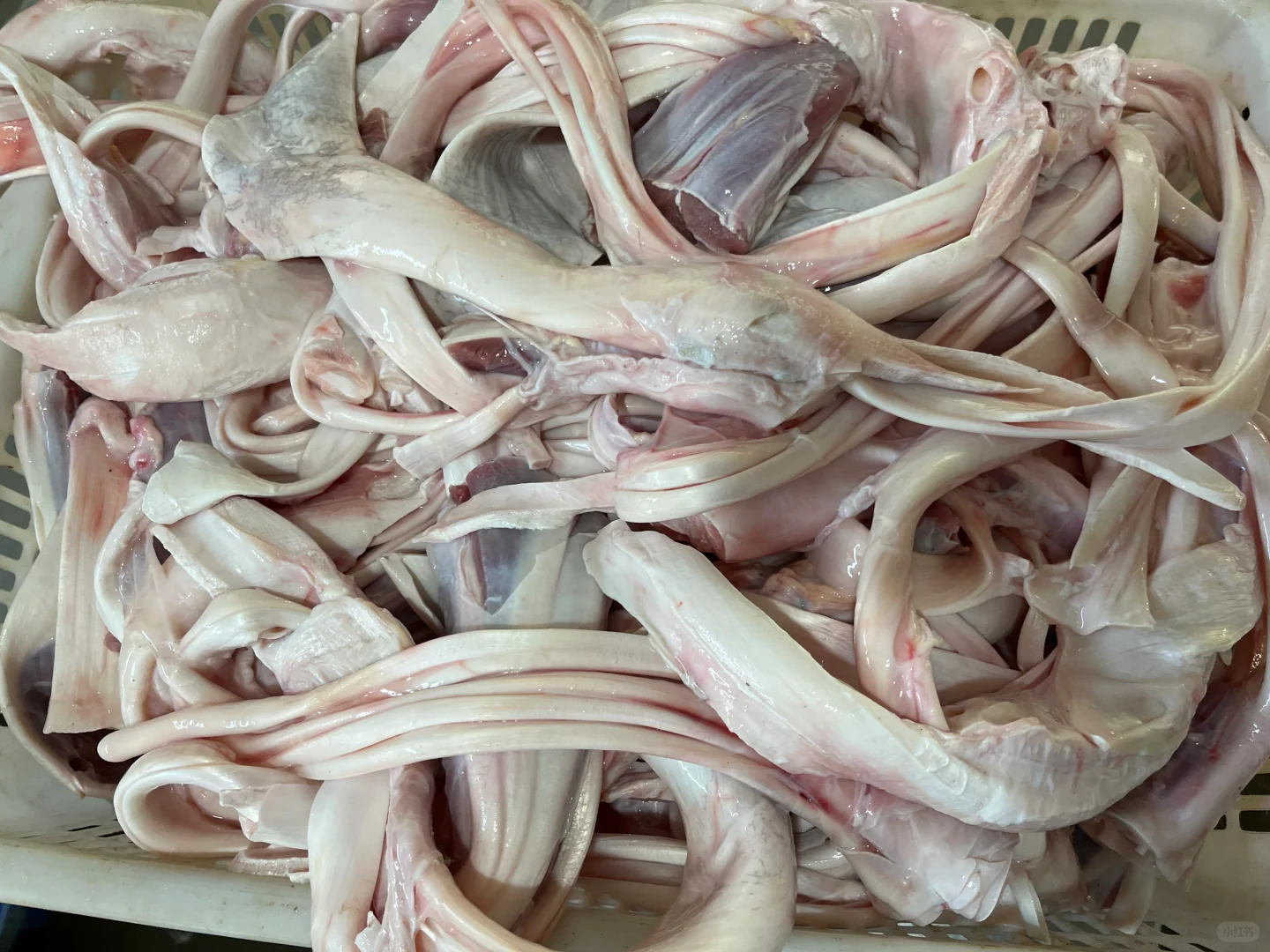 有要的鸵鸟肉的联系