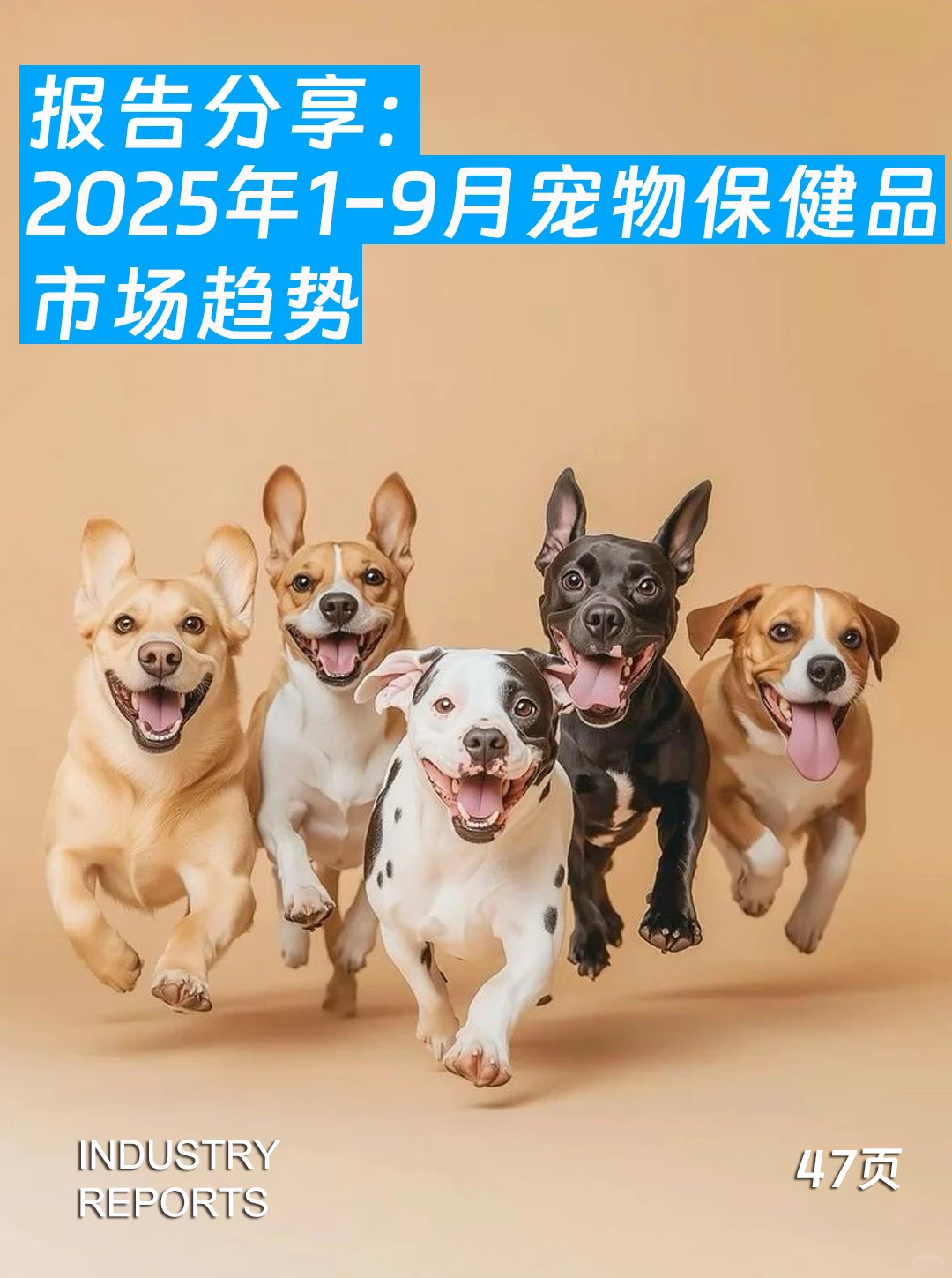 2025年1-9月宠物保健品市场趋势-47页