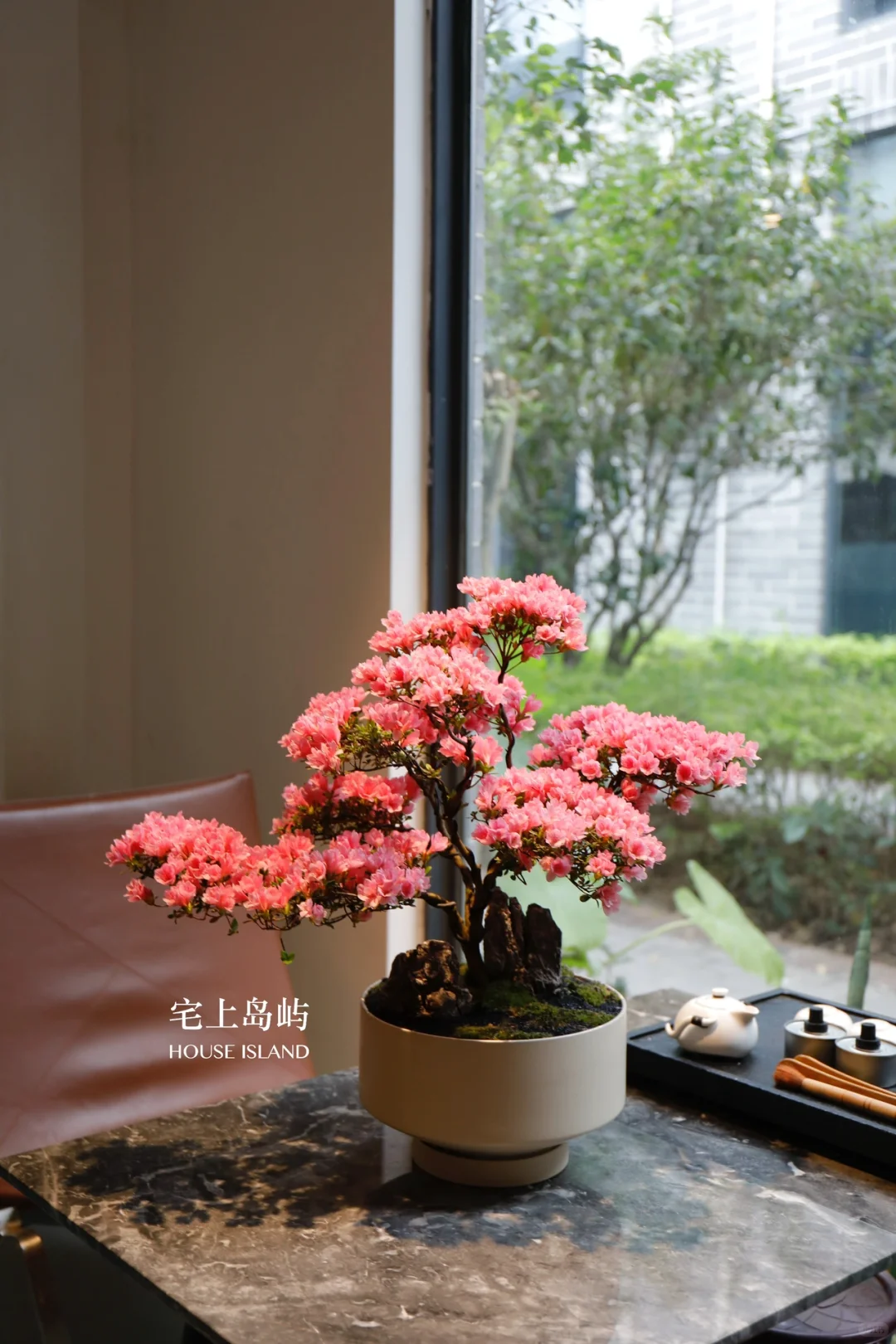 年花设计｜珍珠杜鹃