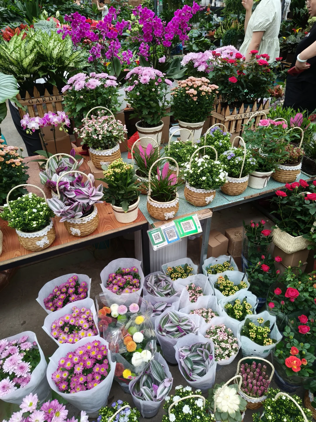 周末就去叁五壹壹吧！