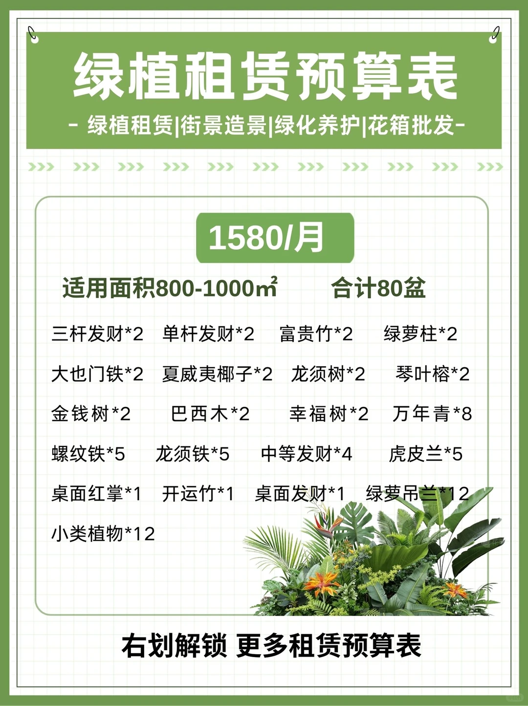 办公室绿植｜购买VS租赁，看完不再纠结！