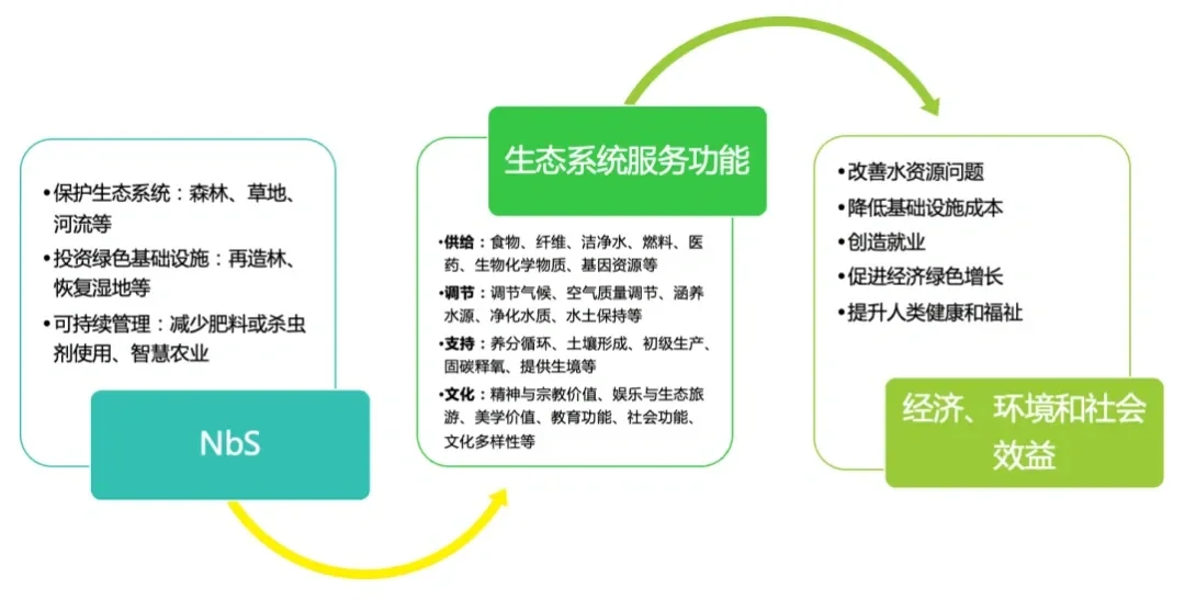 全国生态日后看水基金如何保护水生态?