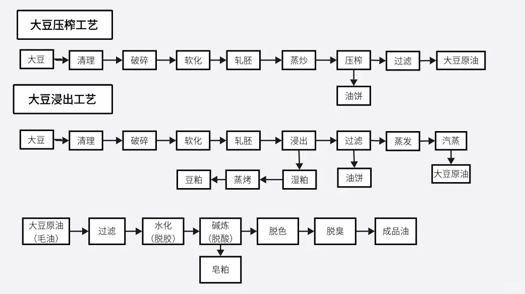 大豆的全球产业与贸易｜大豆行业的生产链
