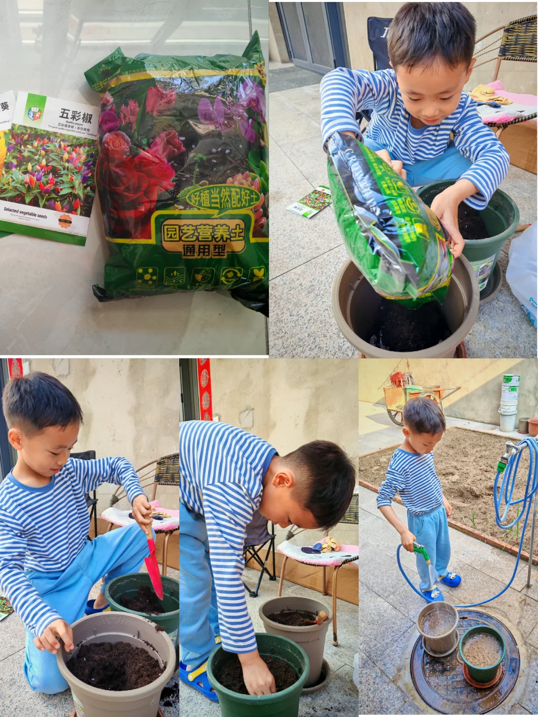 夏天到了，种点花吧！