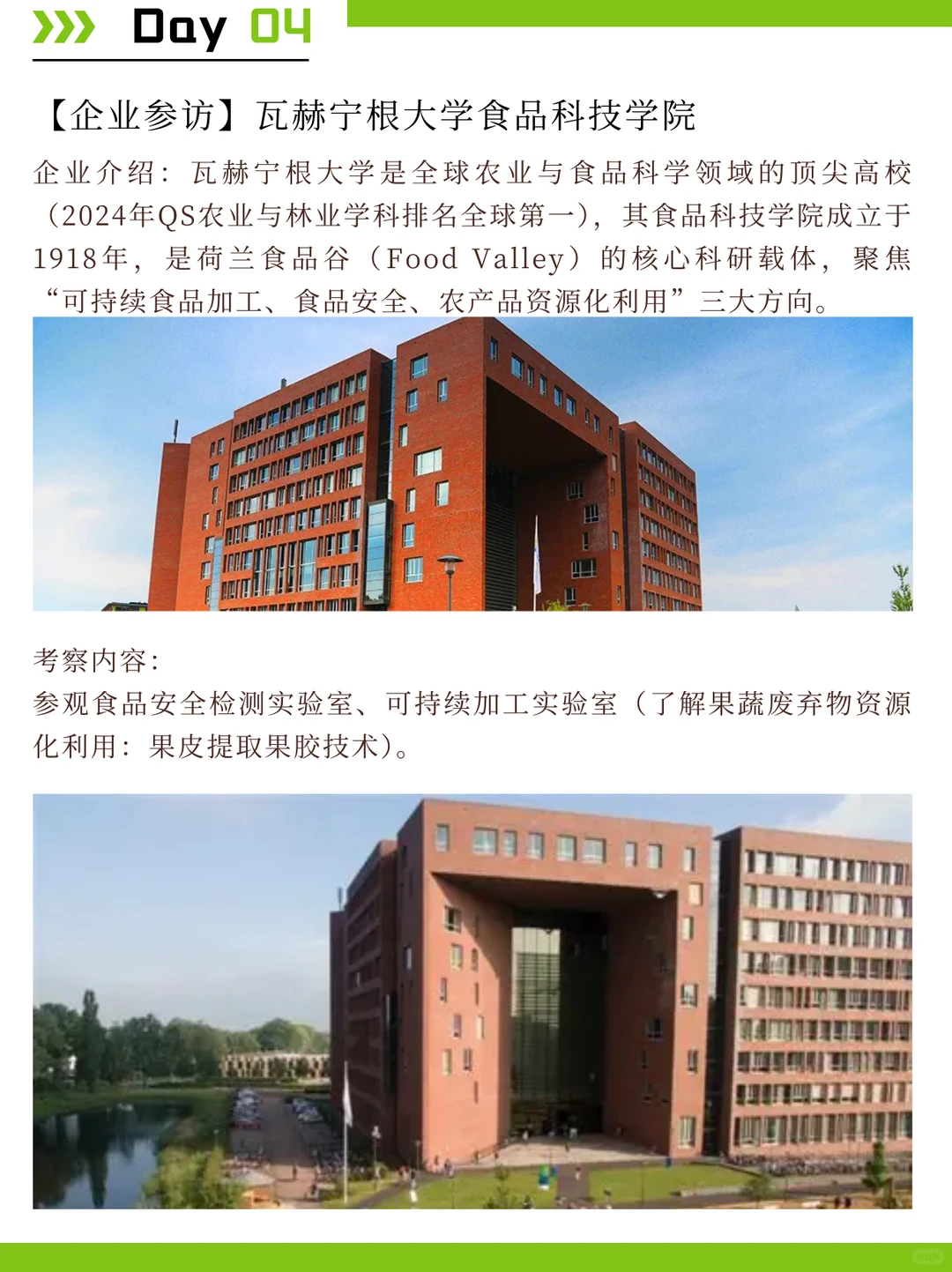 荷兰食品考察：探索植物基与科技加工趋势