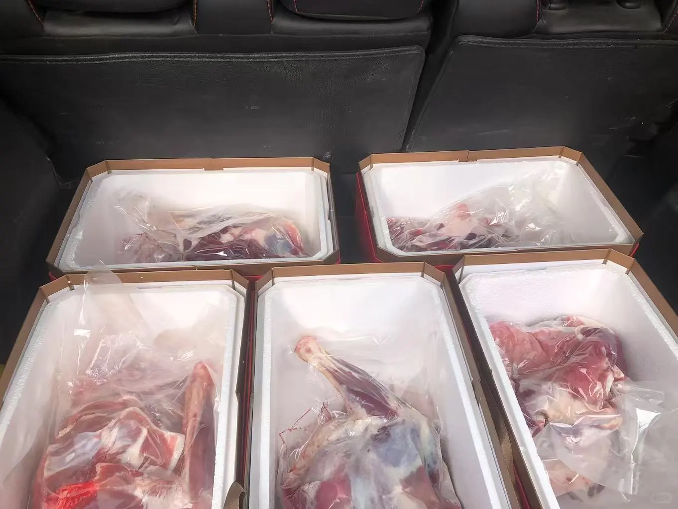 藏羊销售礼盒装上线啦～精排➕肉组合！