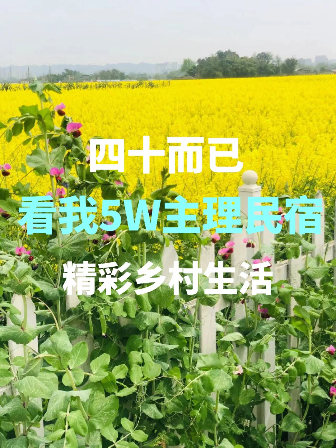 ?四十而已，看我5W 主理民宿｜精彩乡村