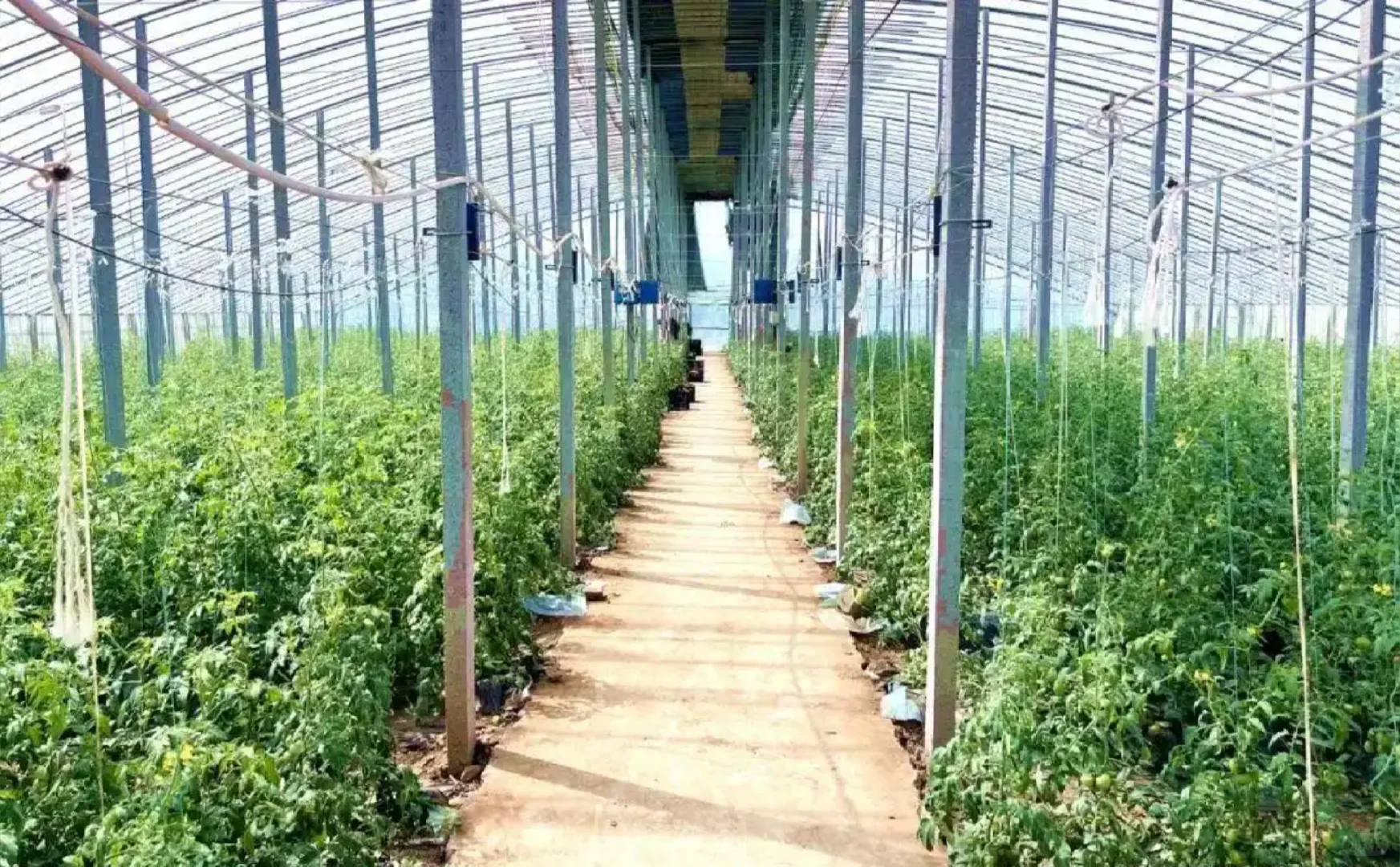 一文看懂智慧农场?