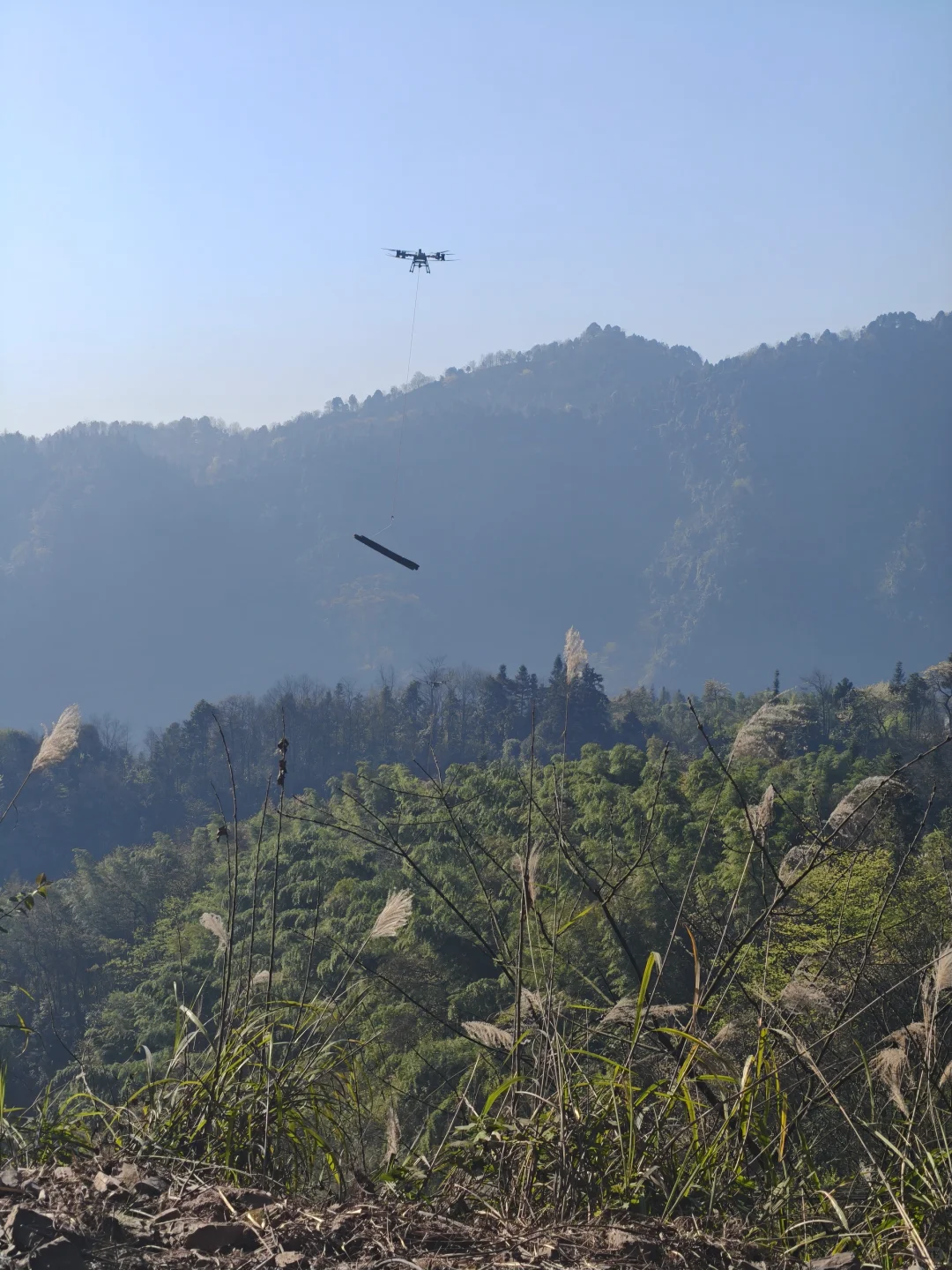 云南无人机吊运深山里的竹子