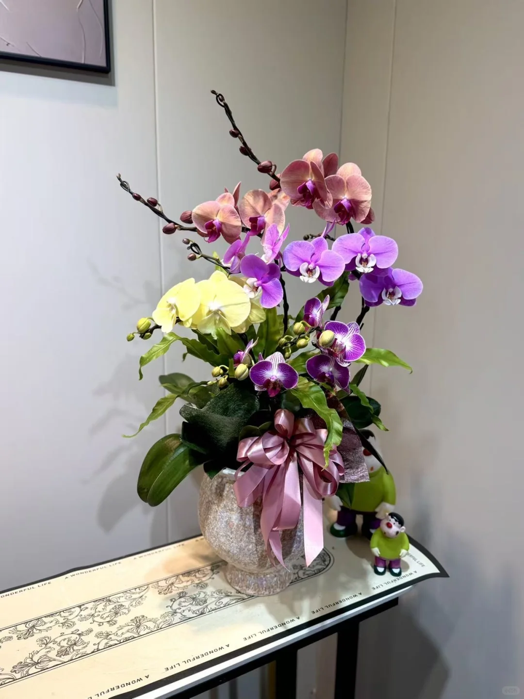 怎么会有这么美的兰花！