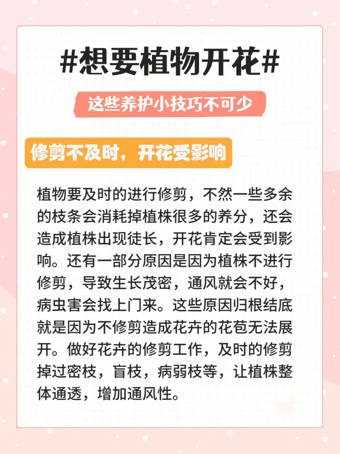 35种常见观花绿植合集|植物开花养护方法