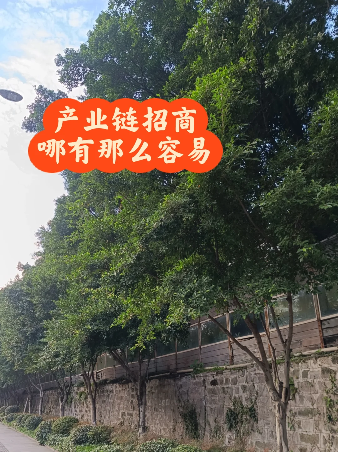 产业链招商，还需更谨慎