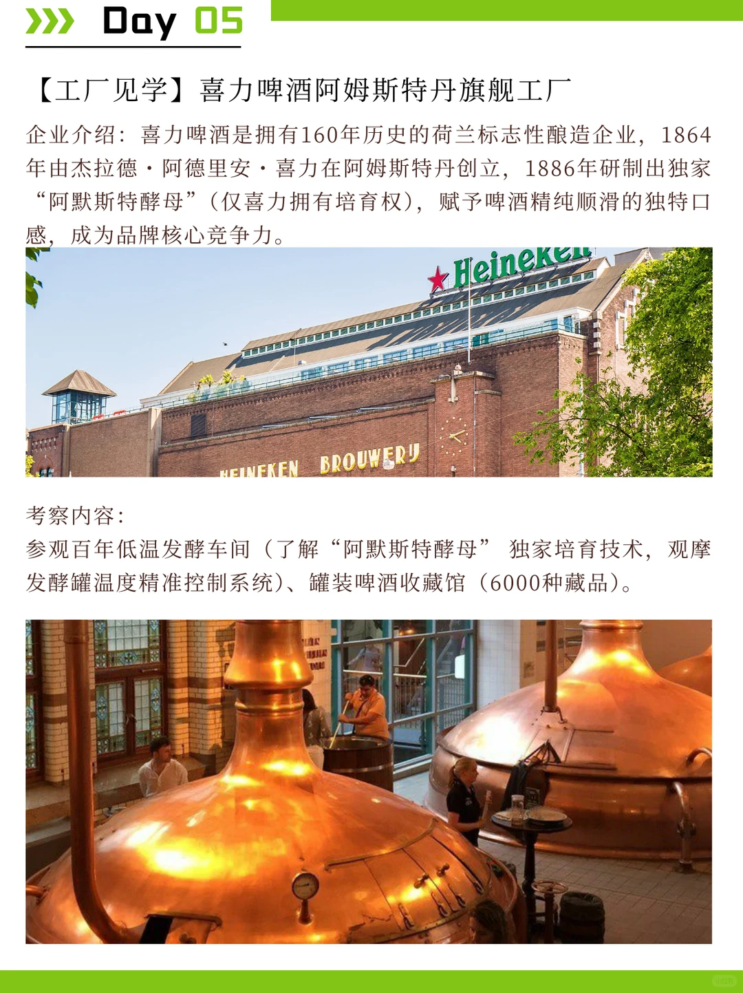 荷兰食品考察：探索植物基与科技加工趋势