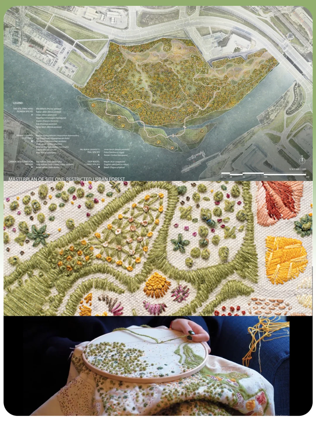 他用针线“种”出一片森林