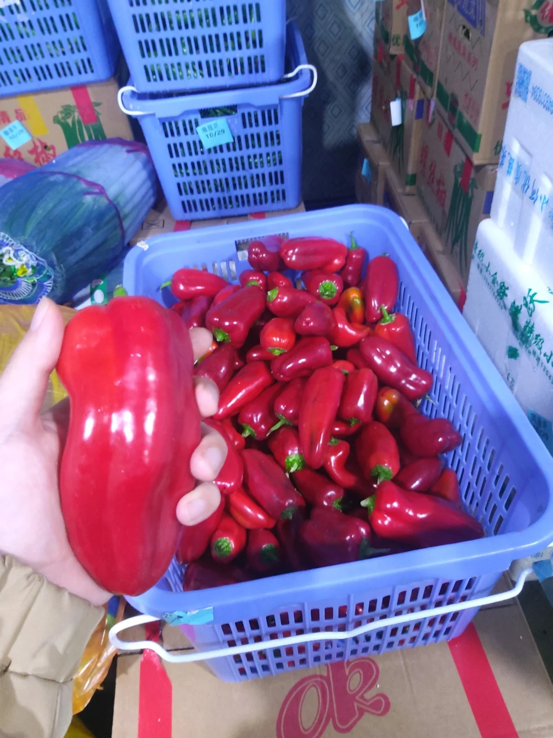 全品类食材配送