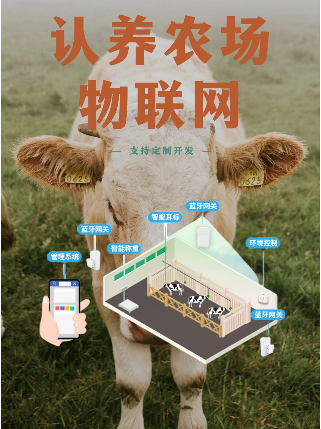 认养农场的物联网技术大解密