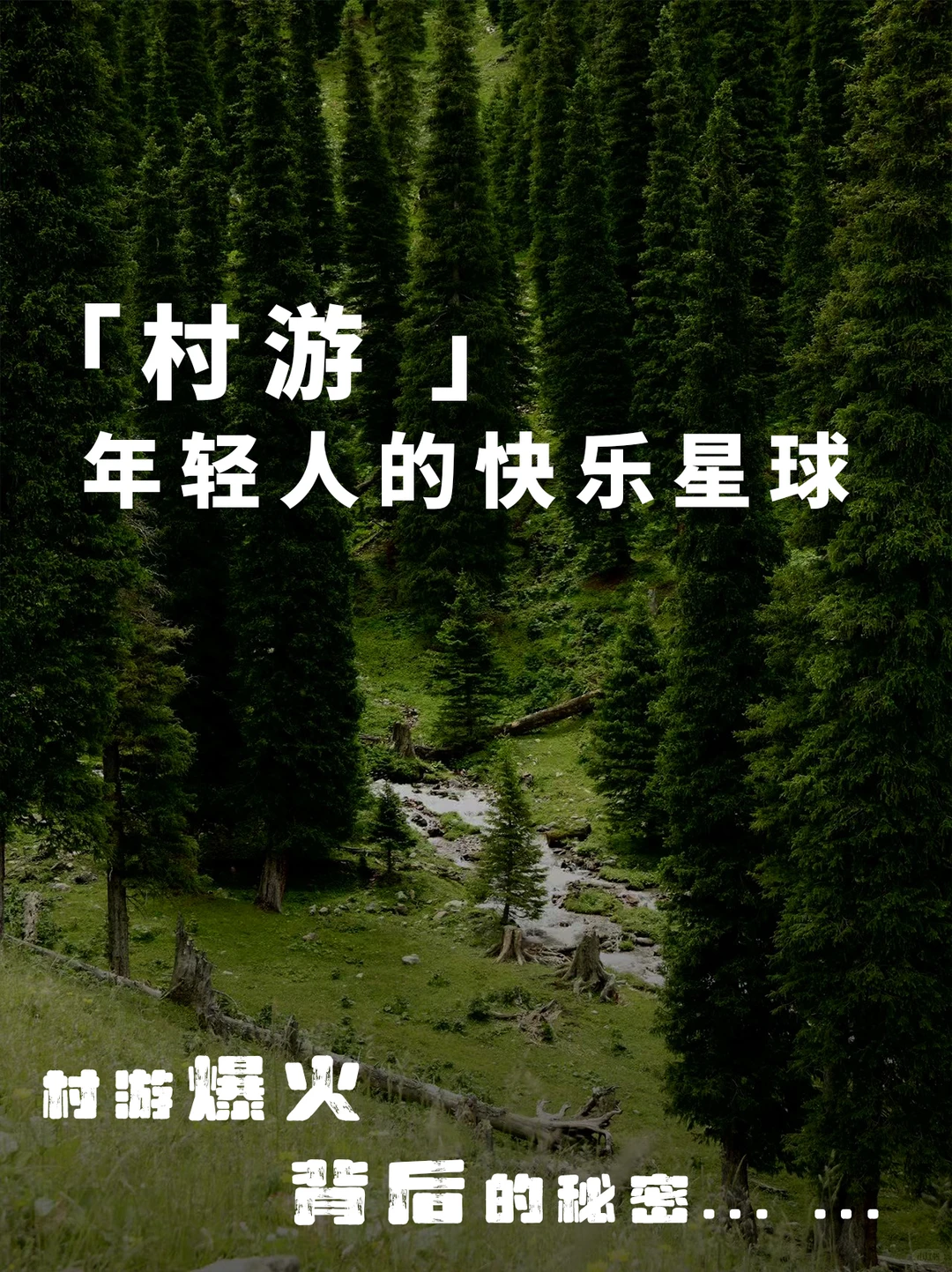 「村游」是景点打卡？乡村逆袭只靠拍照？