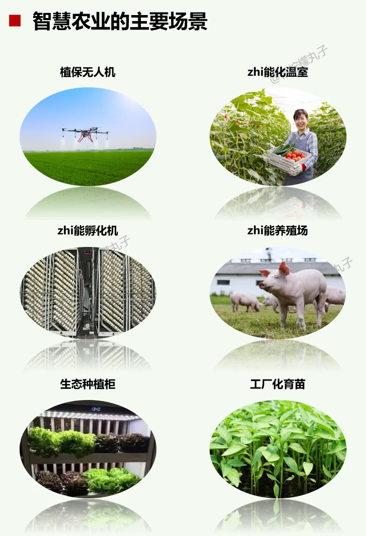 一天吃透一条产业链：No61 智慧农业