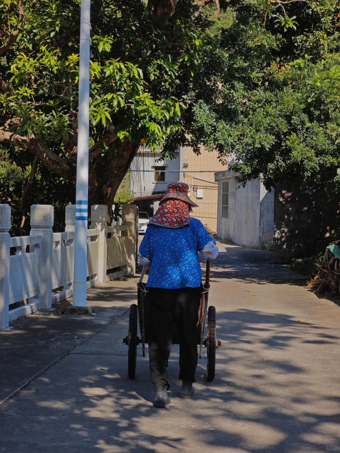 西贡村｜是他乡，也是回不去的故乡