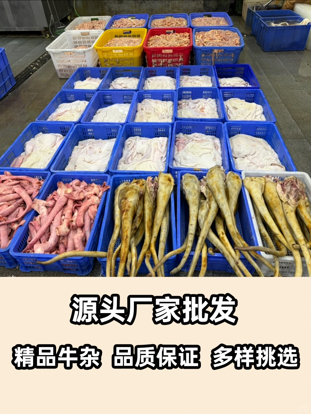 开店摆摊闭眼入的好货源，优质牛杂源头供应