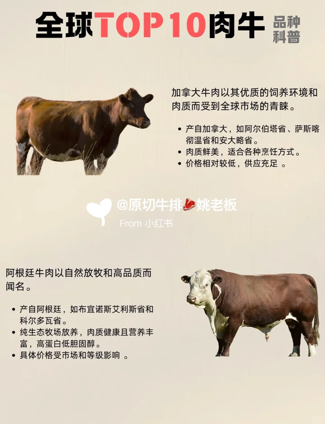 科普全球牛肉品种大合集！