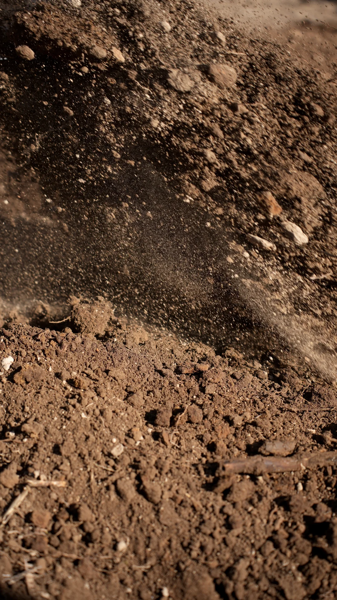 酵素的制作与土壤的快速改良。