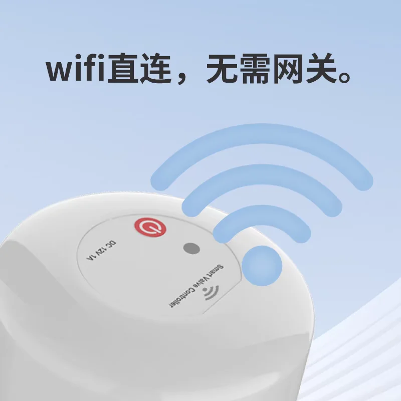 无忧无虑出门玩耍，全靠它俩