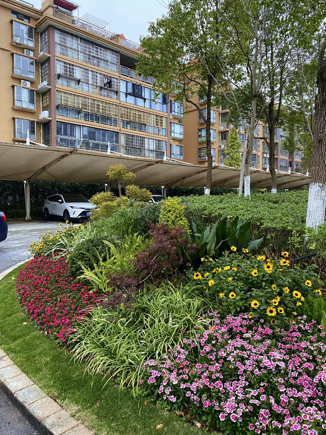 这小区也太好看了吧